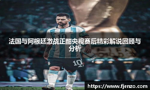 法国与阿根廷激战正酣央视赛后精彩解说回顾与分析